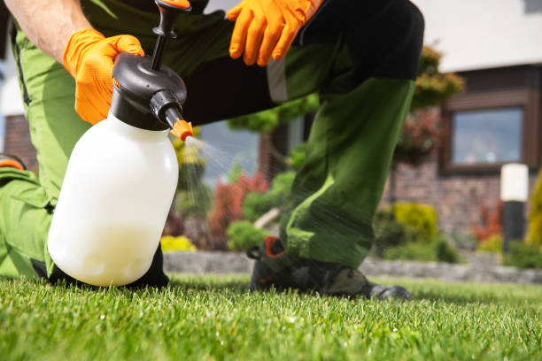 Santa Cruz, CA Pest Control Company