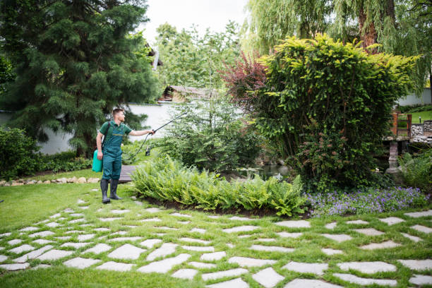 Best Emergency Pest Control  in Santa Cruz, CA