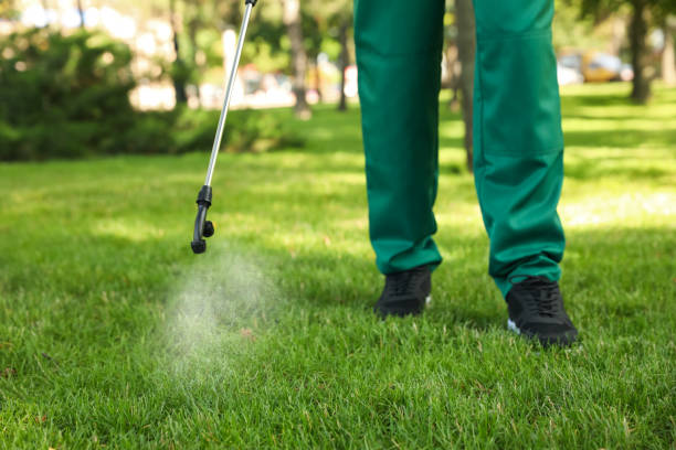 Best Affordable Pest Control Services  in Santa Cruz, CA
