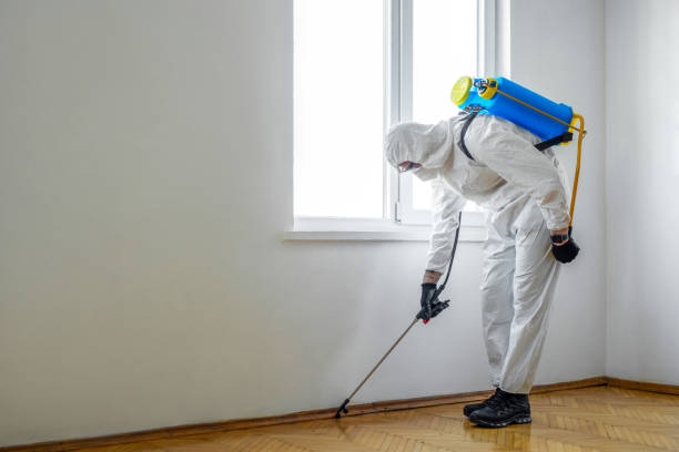 Best Wildlife Control Services  in Santa Cruz, CA