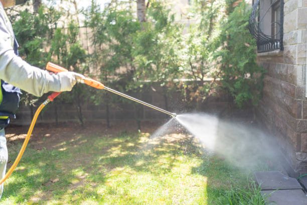 Best Cockroach Control Services  in Santa Cruz, CA