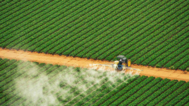 Best Mosquito Control Services  in Santa Cruz, CA
