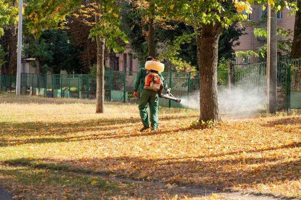 Best Flea Control Services  in Santa Cruz, CA